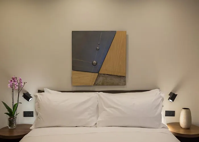 招待所 Clementi Portrait 罗马